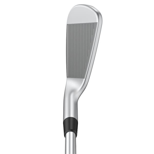 Add on 2 Ping i230 Steel Irons